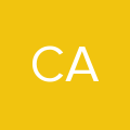 carmenkouhestani avatar